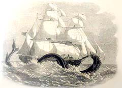 Image of a sea serpent that allegedly attacked a sailing vessel, the British Banner on April 25, 1859.