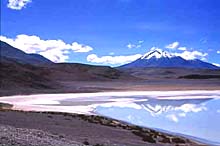 The Bolivian Altiplano