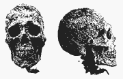 Si-Te-Cah Skull