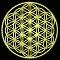 'The Flower of Life' reconstruction