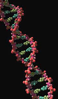 DNA - The Tree of Life?